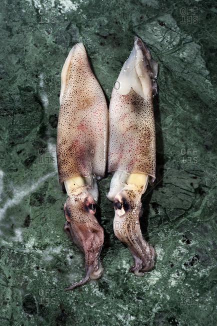 High angle view of some raw cuttlefishes placed on a green marble surface
