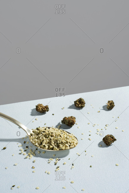 Closeup of a spoon full of hulled hemp seeds and some hemp buds on a pale blue surface