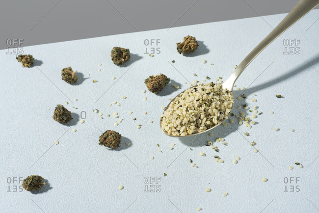 Closeup of a spoon full of hulled hemp seeds and some hemp buds on a pale blue surface