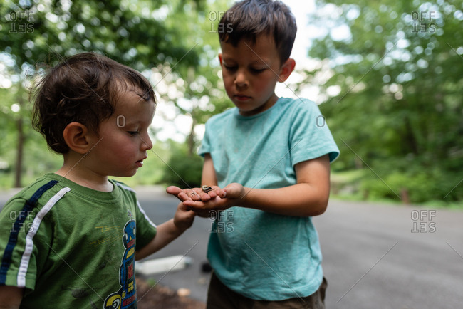 Boy showing little brother a bug he found outside