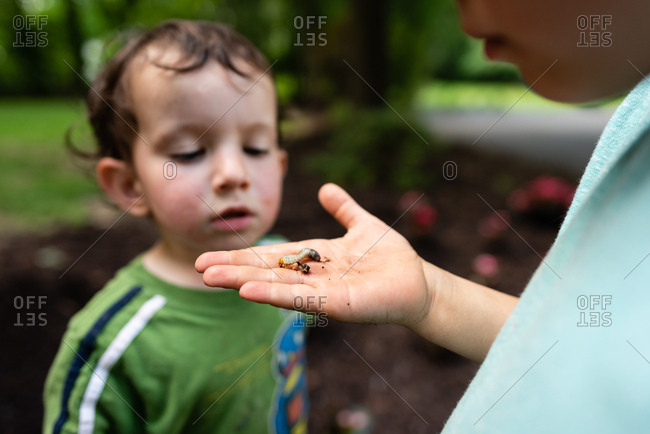 Boy showing baby brother a bug he found outside