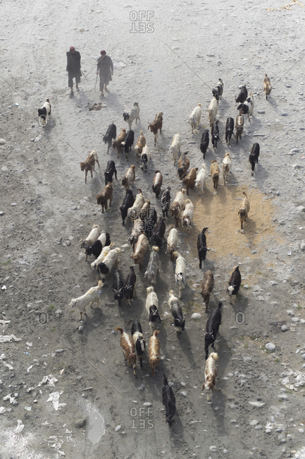 Gilgit-Baltistan, Pakistan - May 9, 2018: Goatherds in dry riverbed of Gilgit Valley