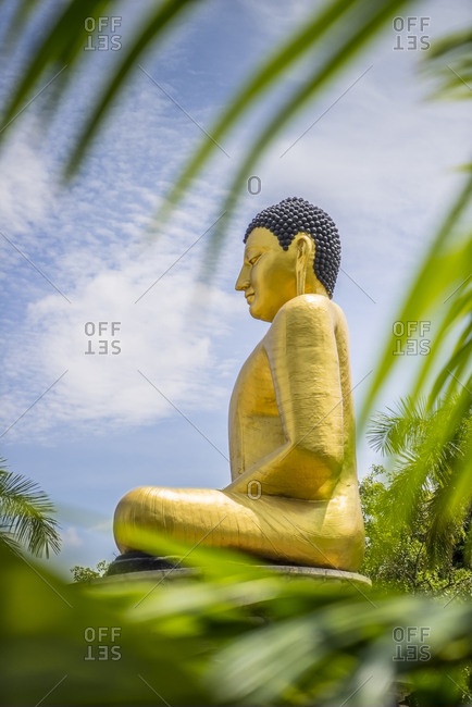 Sri Lanka, Colombo . Buddha Statue at The Viharamahadevi Park (formerly Victoria Park) is a public park located in Colombo, next to the National Museum in Sri Lanka. It is the oldest and largest park of the Port of Colombo. In the background the Municipal Council