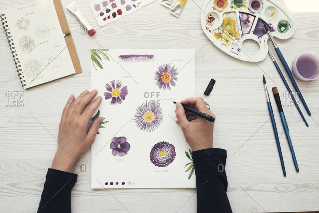 Water Flower Drawings Stock Photos Offset