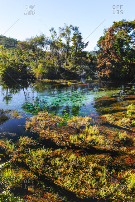 Te Waikoropupu Springs- Takaka- Golden Bay- South Island- New Zealand