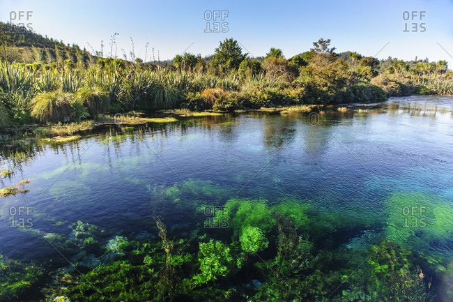 Te Waikoropupu Springs- Takaka- Golden Bay- South Island- New Zealand