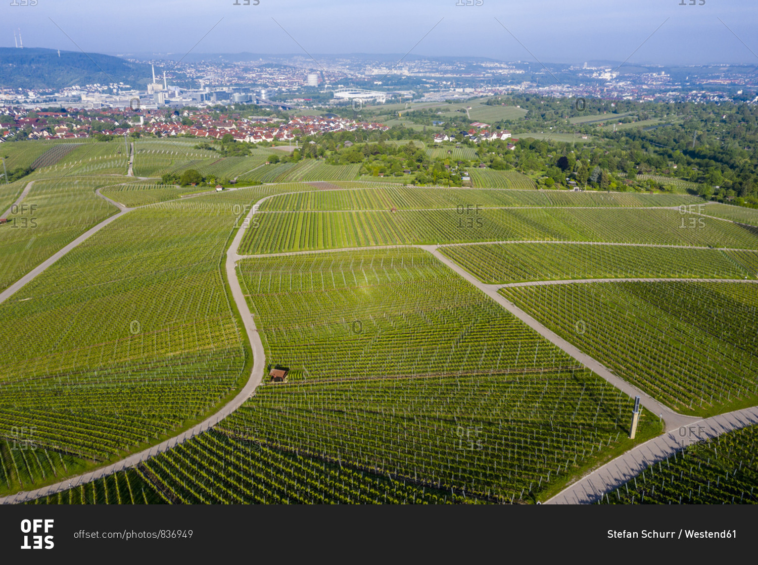 Aerial view over vineyards at Kappelberg in spring- Bad Cannstadt- Fellbach- Germany