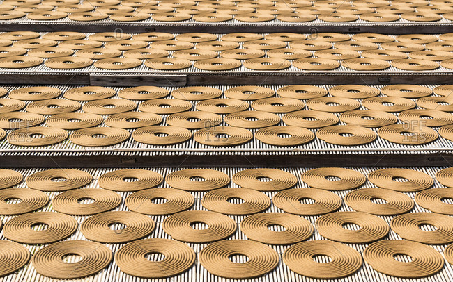 Incense sticks drying in the sun, Hung Yen province, Vietnam