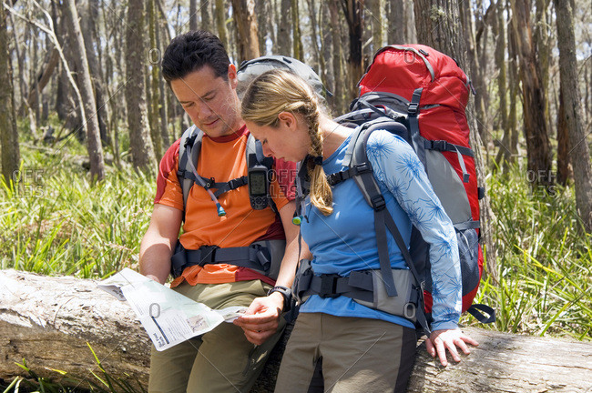Hikers read topographical map.
