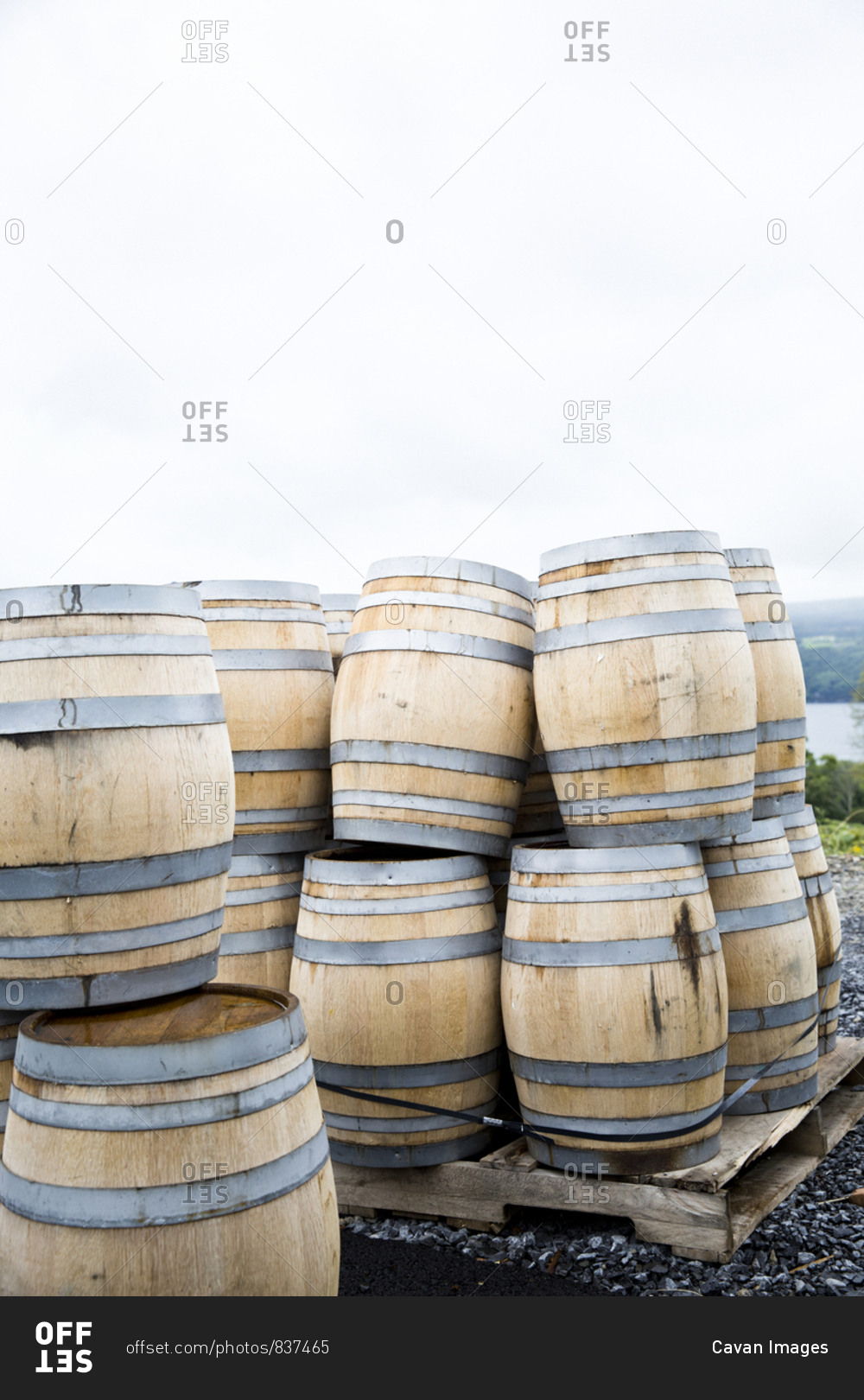 Whiskey barrels sit outside of a distillery