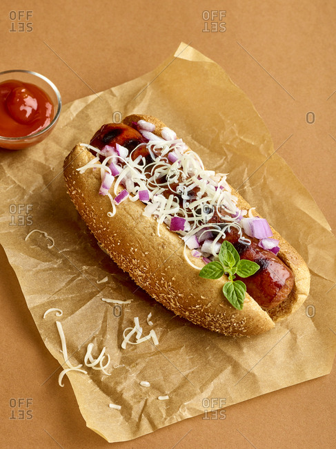 Hot dog topped with shredded cheese and onions