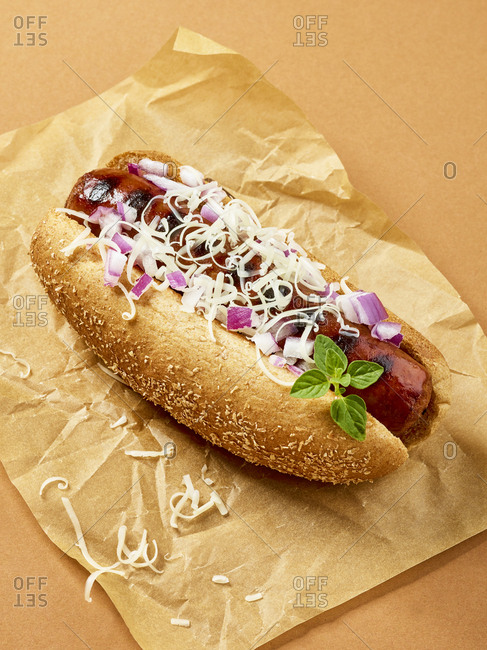 Hot dog topped with shredded cheese and onions