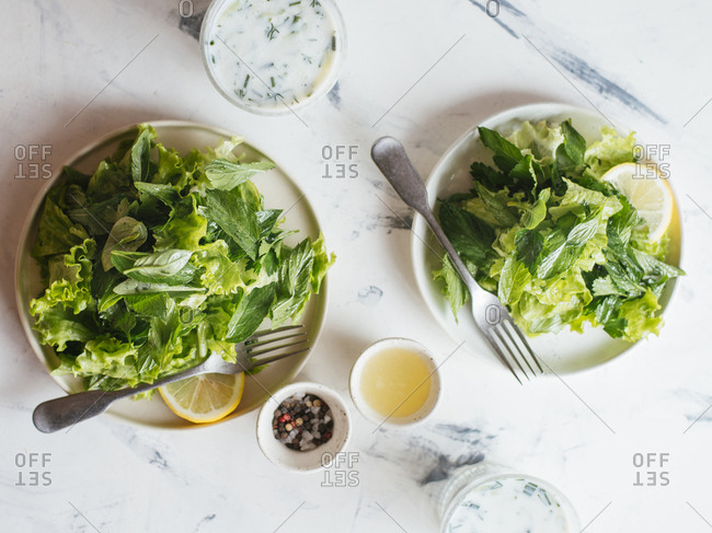 Green salad with herbs and lemon dressing served with sour yogurt dressing