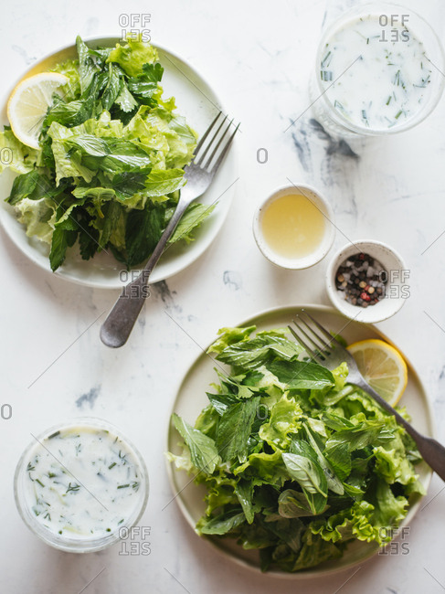 Green salad with herbs and lemon dressing served with sour yogurt dressing