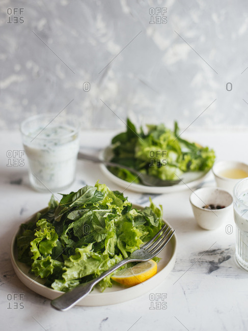 Green salad with herbs and lemon dressing served with sour yogurt dressing