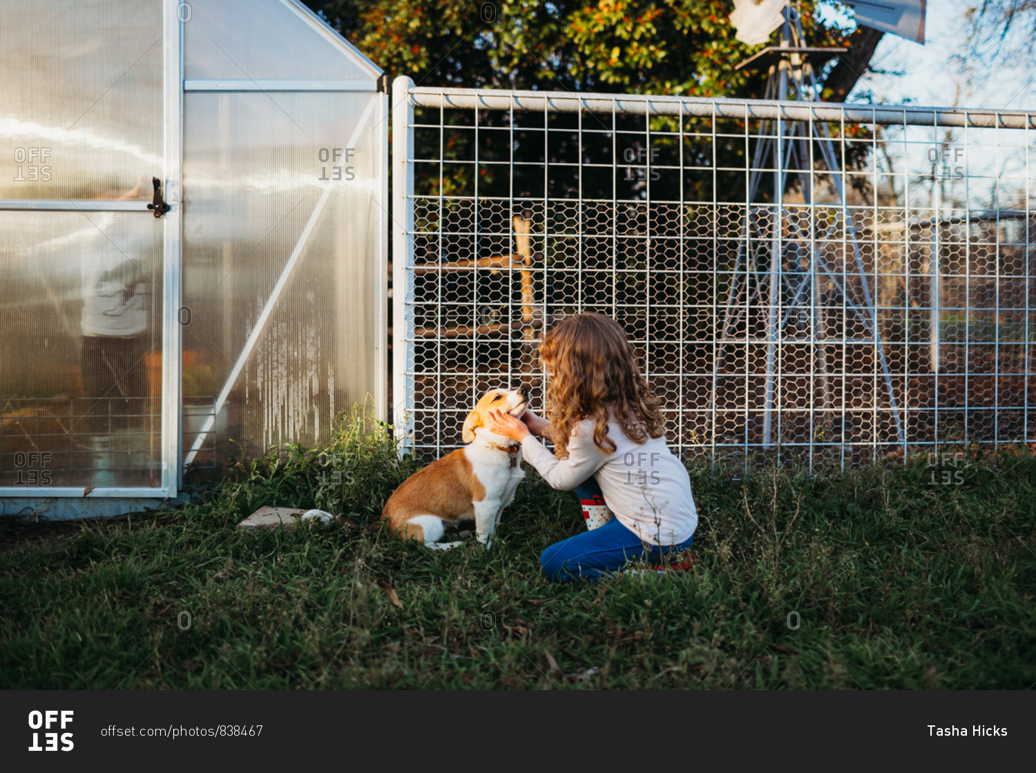 Kids by backyard greenhouse with corgi dog