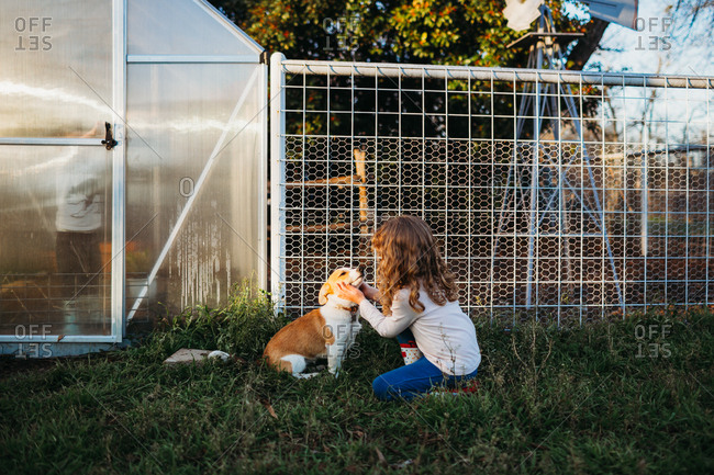 Kids by backyard greenhouse with corgi dog