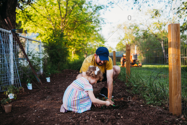 Father and daughter planting plants in garden