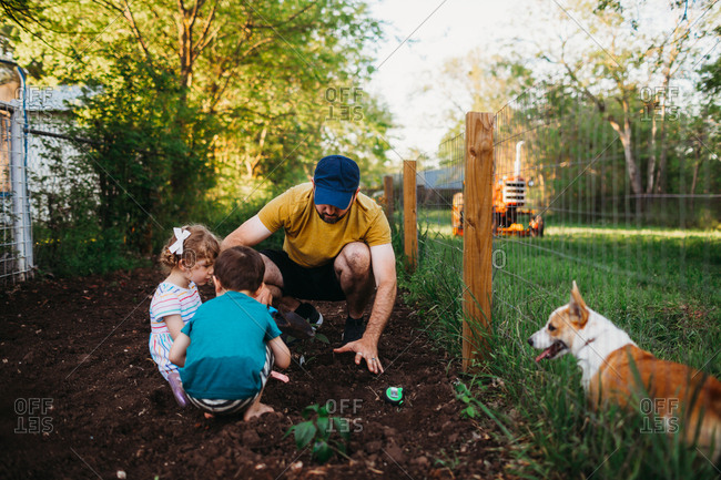 Father and kids planting plants in garden