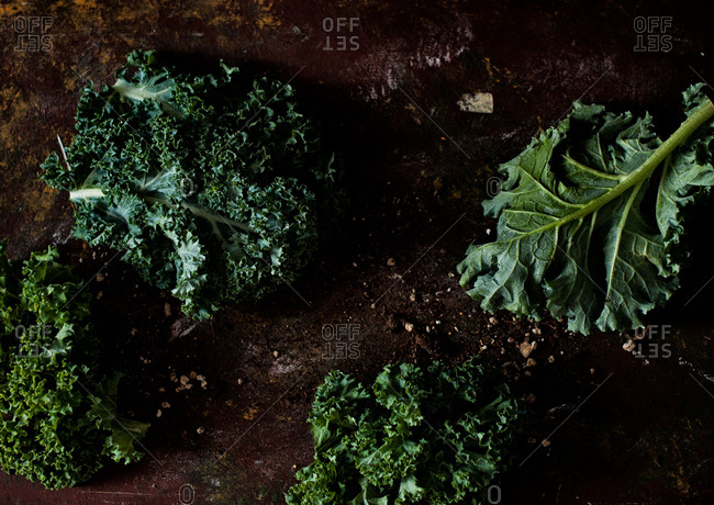 Fresh cut kale leaves on a rusty surface
