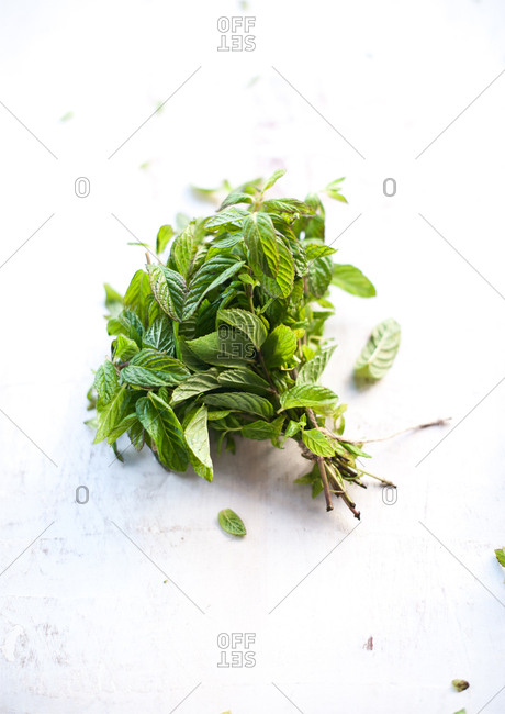 Bouquet of fresh cut mint