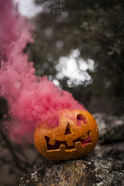 Pink colored smoke coming out a Halloween pumpkin placed on a stone fence in a oak forest