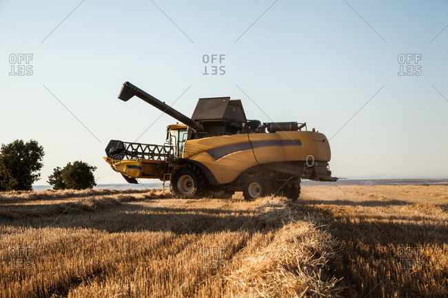 Large harvester in a barley field on a bright day