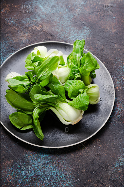 Fresh bok choy on dark plate over dark background