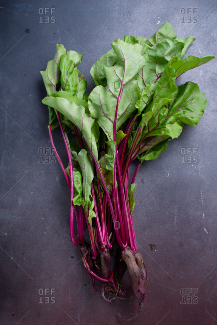 Young beetroot green tops fresh picked from the farm