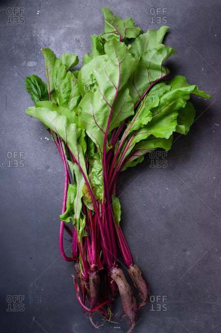 Young beetroot green tops fresh picked from the farm