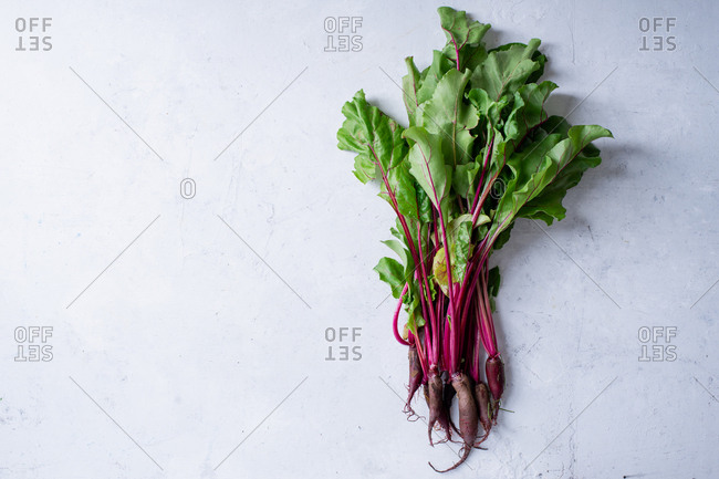 Young beetroot green tops fresh picked from the farm