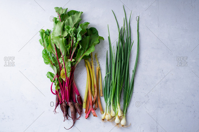 Fresh vegetables from the farm - beets, rhubarb and onions. Multicolored stems