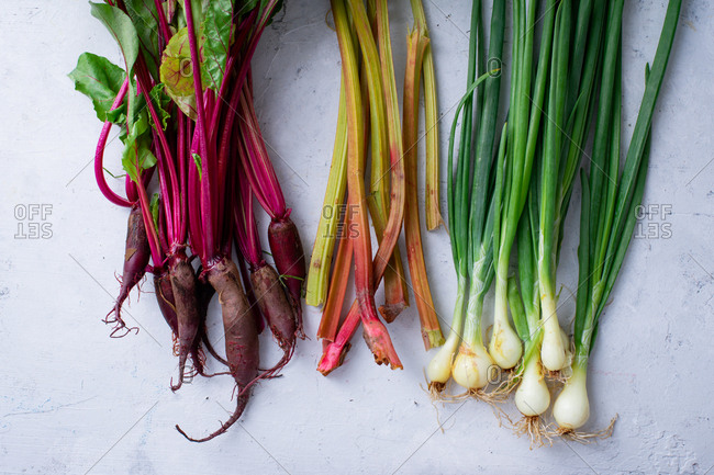 Fresh vegetables from the farm - beets, rhubarb and onions. Multicolored stems