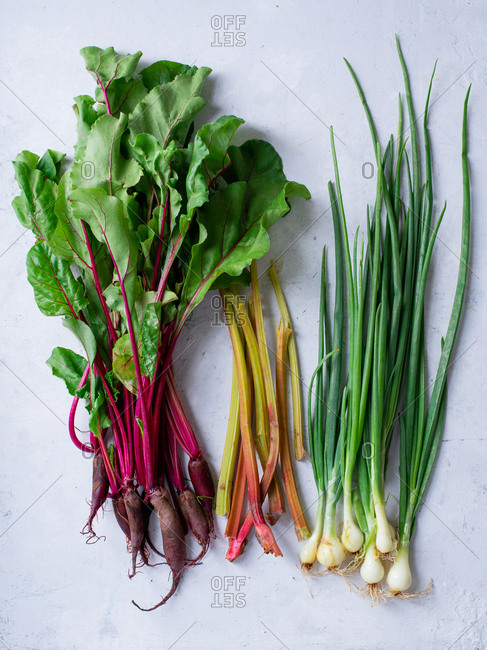 Fresh vegetables from the farm - beets, rhubarb and onions. Multicolored stems