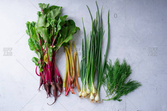 Fresh vegetables from the farm - beets, rhubarb, dill and onions