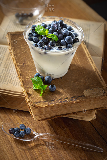 Natural yogurt with blueberries in a plastic bowl