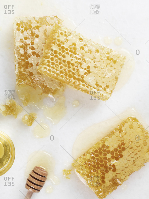 An array of fresh honeycomb