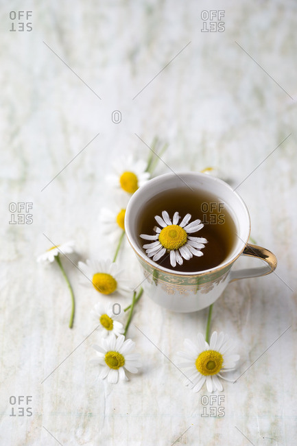 Chamomile tea with chamomile flowers in a cup