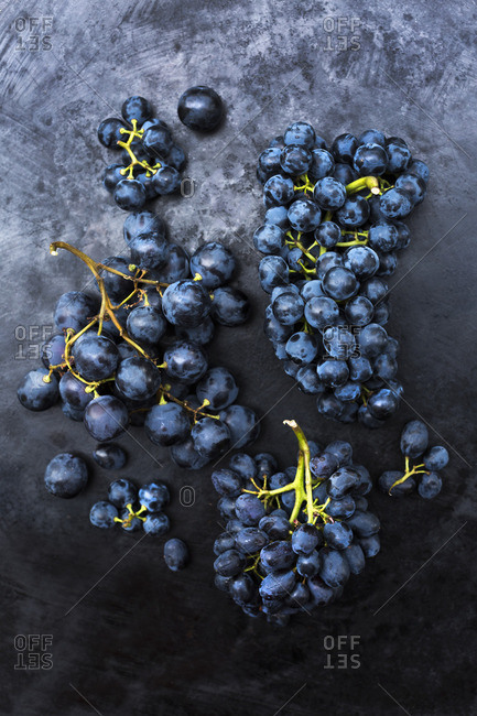 Three different varieties of blue grapes (Dornfelder, Lavalee, Nero)