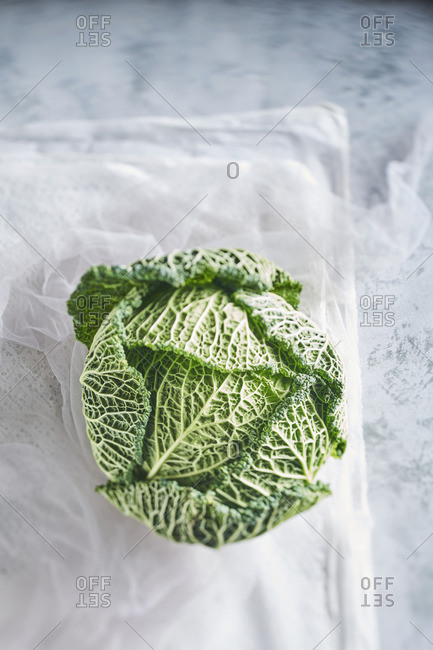 Still life of green cabbage