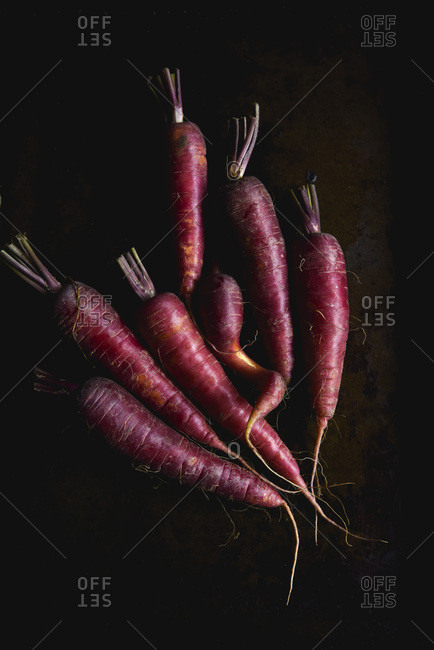 Multi coloured carrots on a dark background, raw.