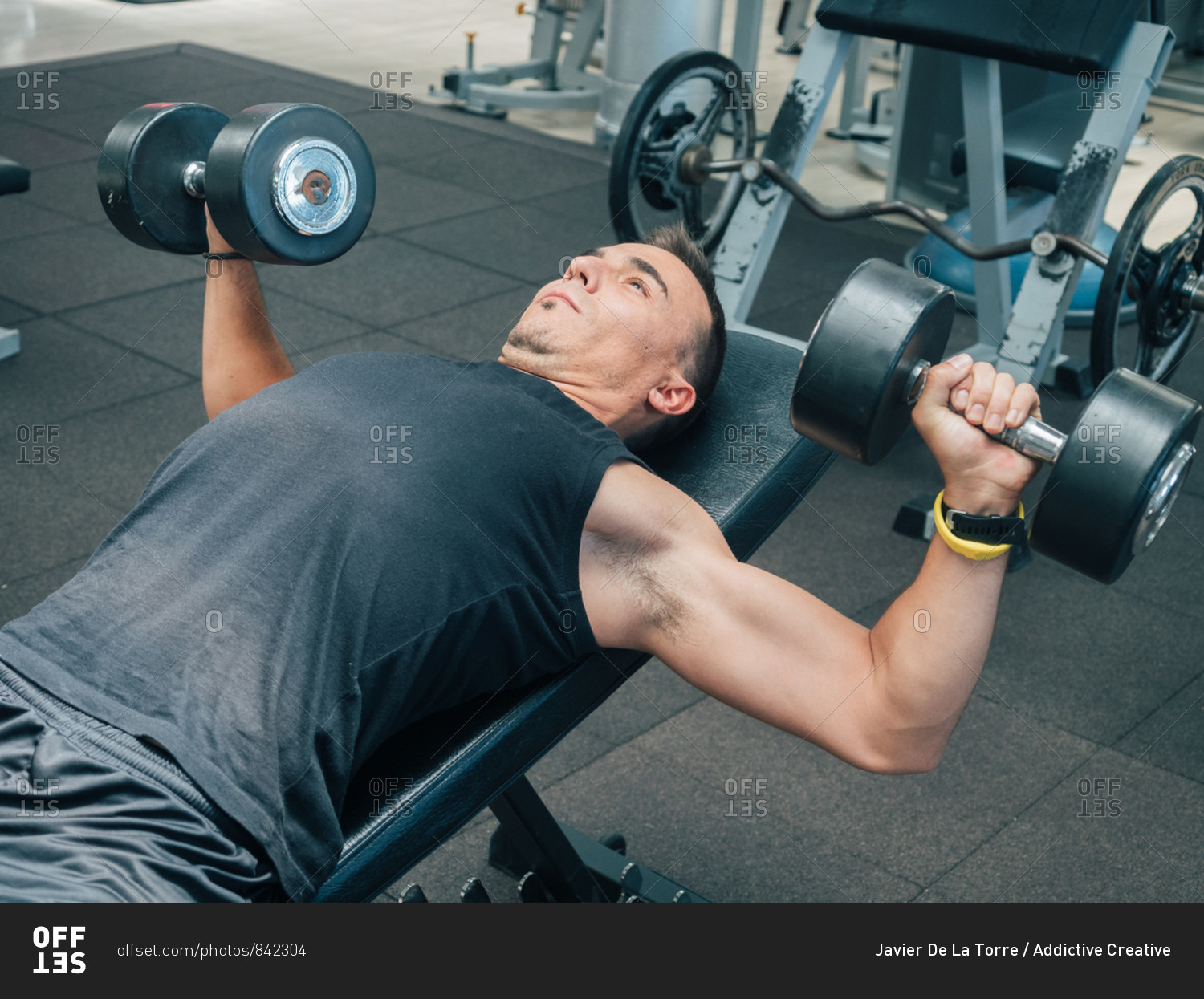 Side view of muscular adult male doing exercise with dumbbells while ...