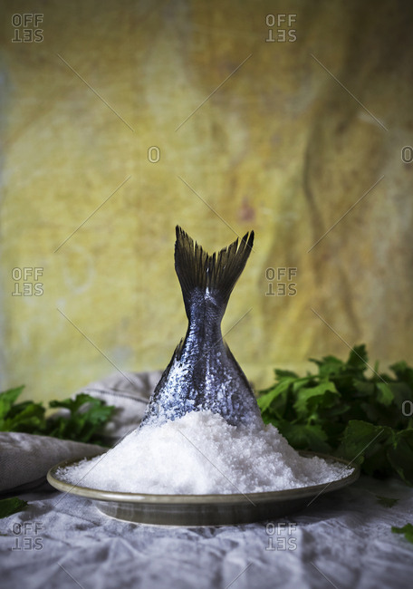 Body of fresh raw fish placed in heap of salt near parsley against yellow drapery