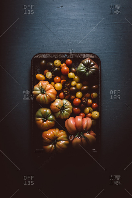 Heirloom tomatoes on a baking sheet on dark background