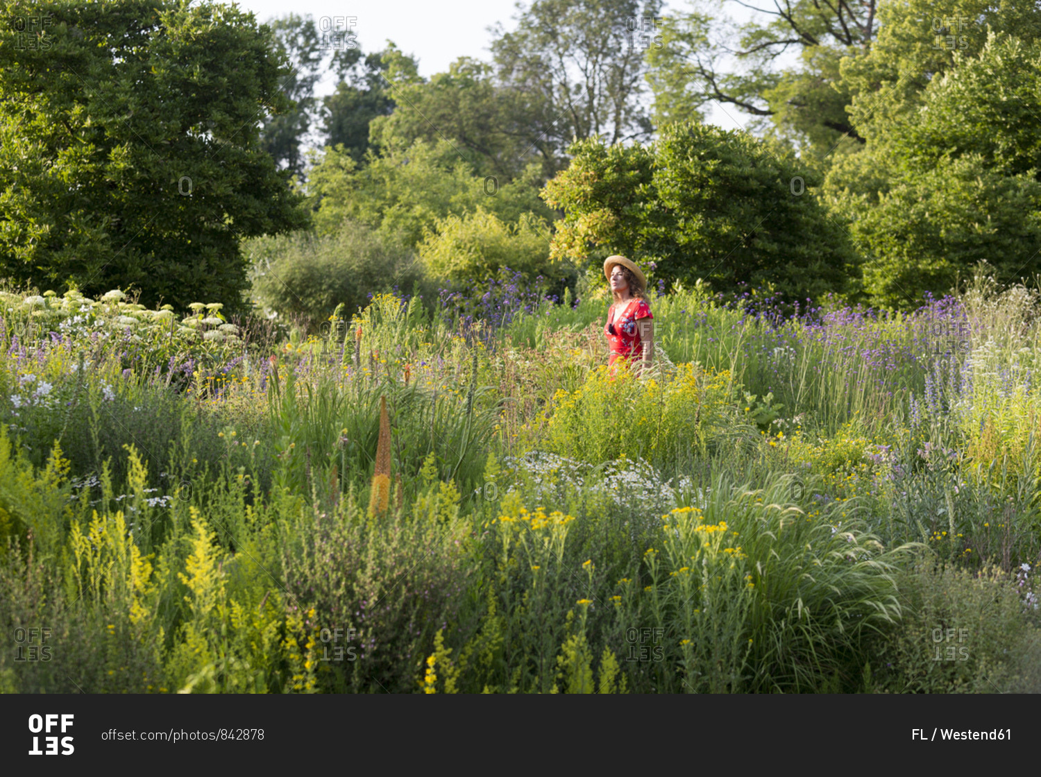 Woman wearing straw hat and red summer dress in garden with wildflowers