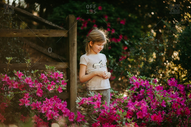 Girl looking at beautiful pink azaleas
