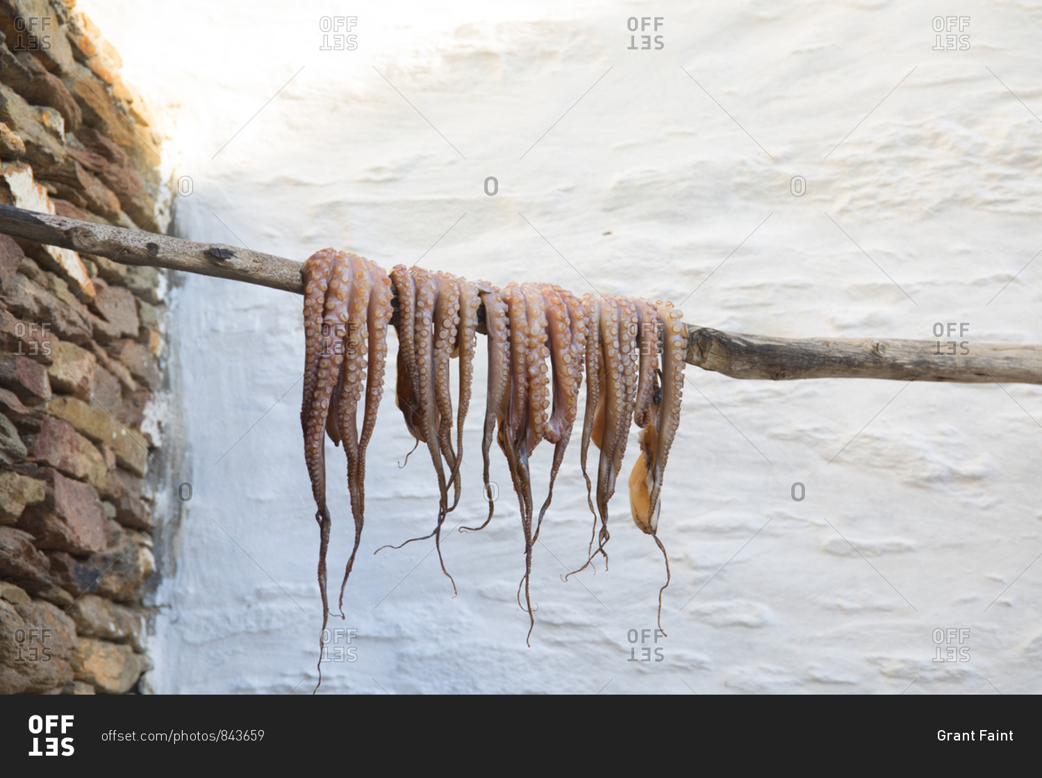 Octopus ready for cooking on barbeque, Folegandros Island, Cyclades, Greece