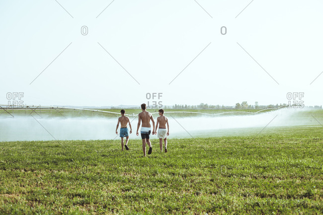 Shirtless friends walking together in a field in summer