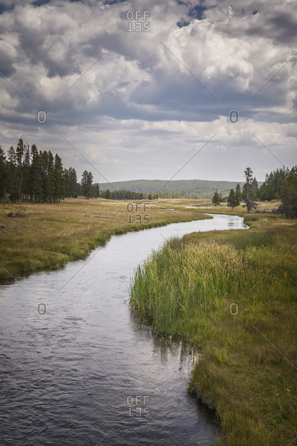 Big Meadows in Yellowstone