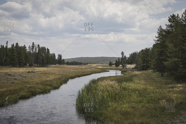 Big Meadows in Yellowstone